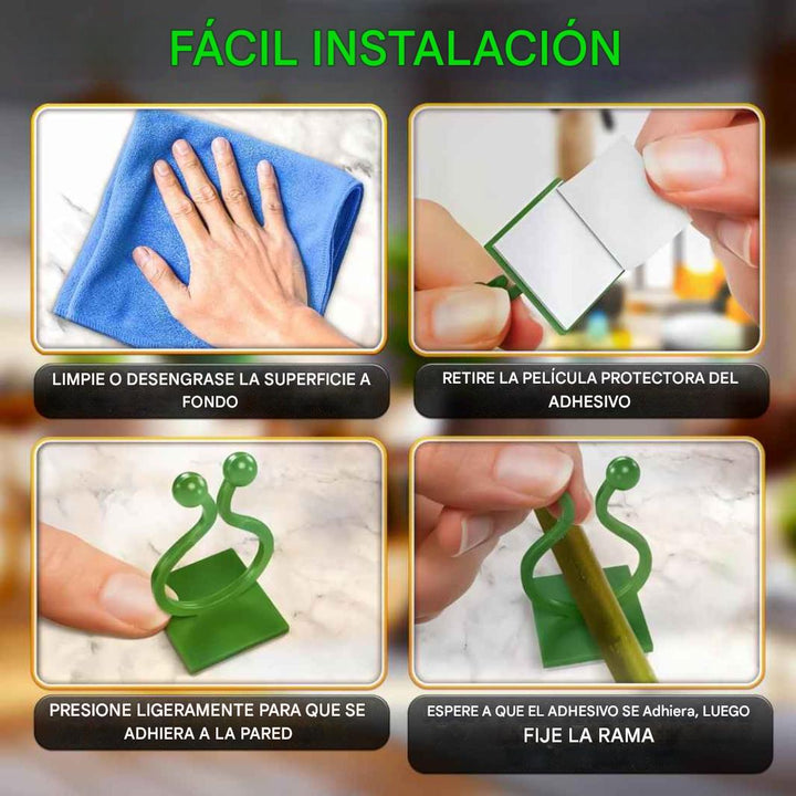 Clips de pared para plantas trepadoras