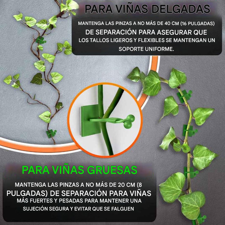 Clips de pared para plantas trepadoras