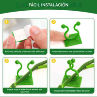 Clips de pared para plantas trepadoras