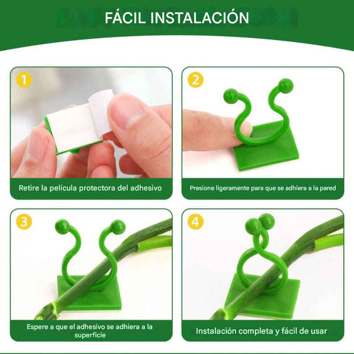 Clips de pared para plantas trepadoras