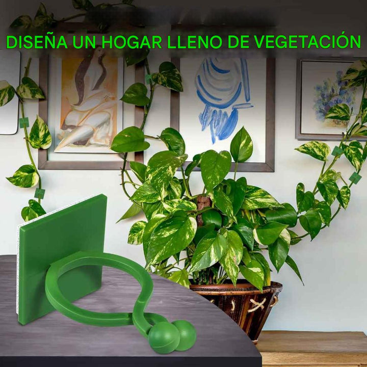 Clips de pared para plantas trepadoras