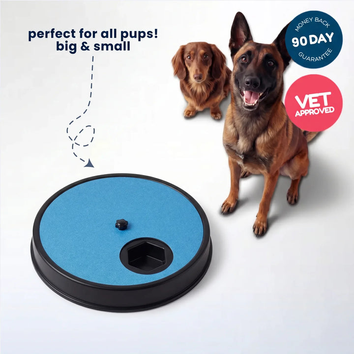 Tablero giratorio 3 en 1 para rascar uñas de perro