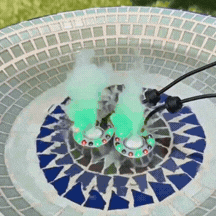 GIF