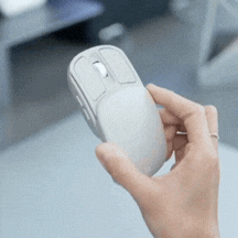 GIF