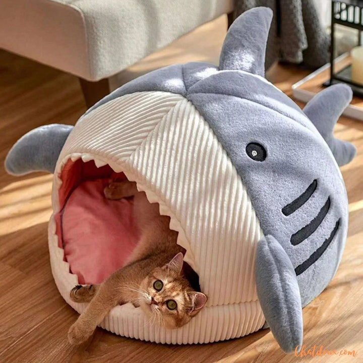 Cama para mascotas de tiburon