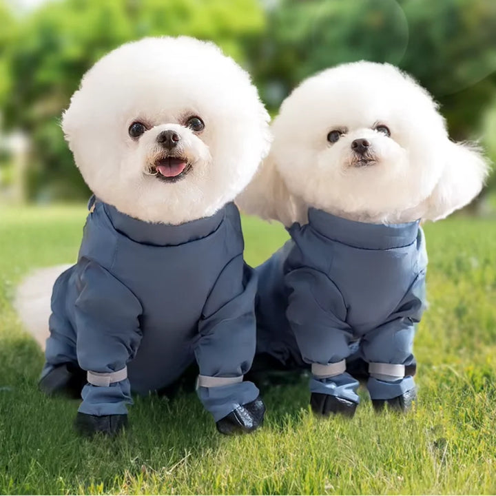 Pantalones protectores impermeables para perros