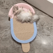 GIF