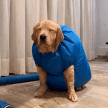 GIF